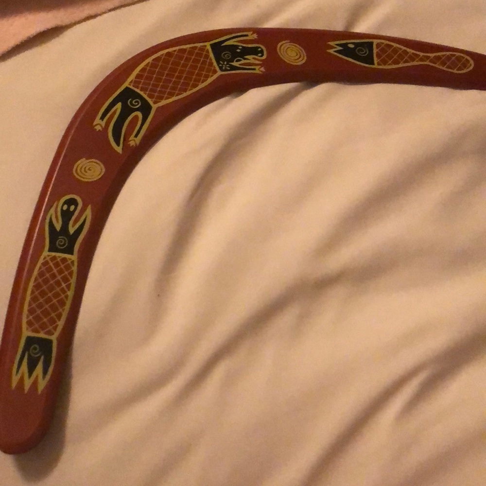 Throwing boomerang